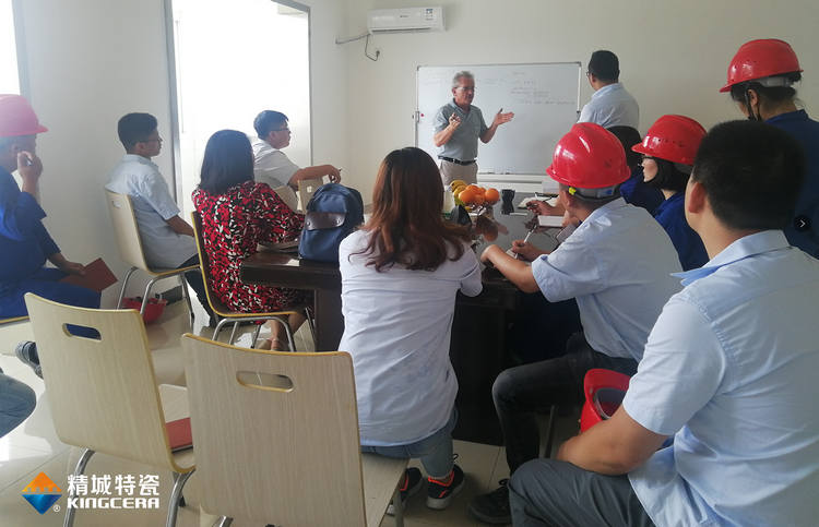 湖南yp街机特邀意大利专家举行质量治理培训