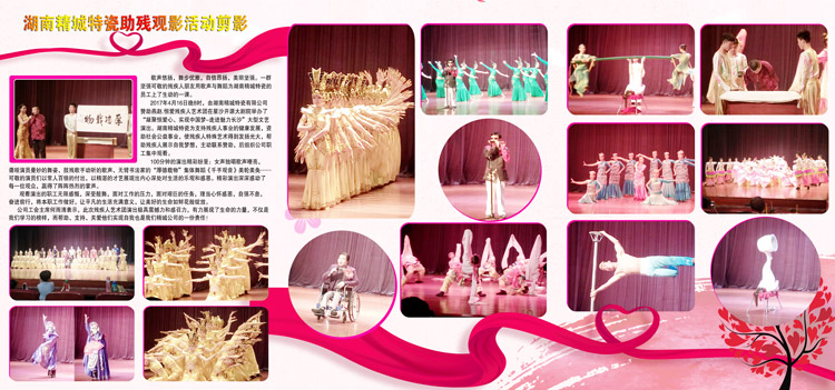 湖南yp街机赞助燕赵·恒爱残疾人艺术团圆满演出